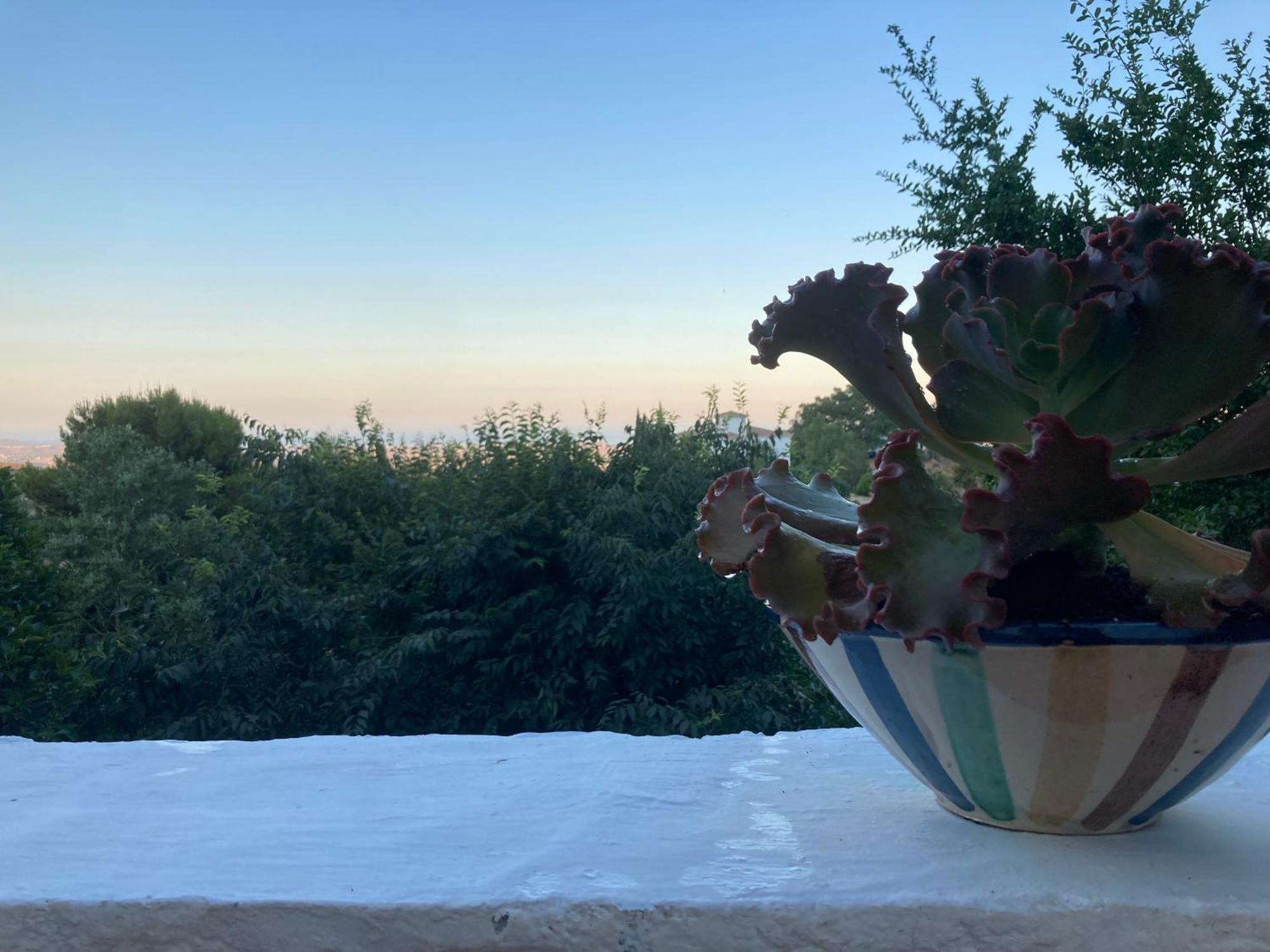 הוילה Bédar Cortijo De La Fuente Con Vistas Impresionantes Y Playas A 20 Minutos מראה חיצוני תמונה