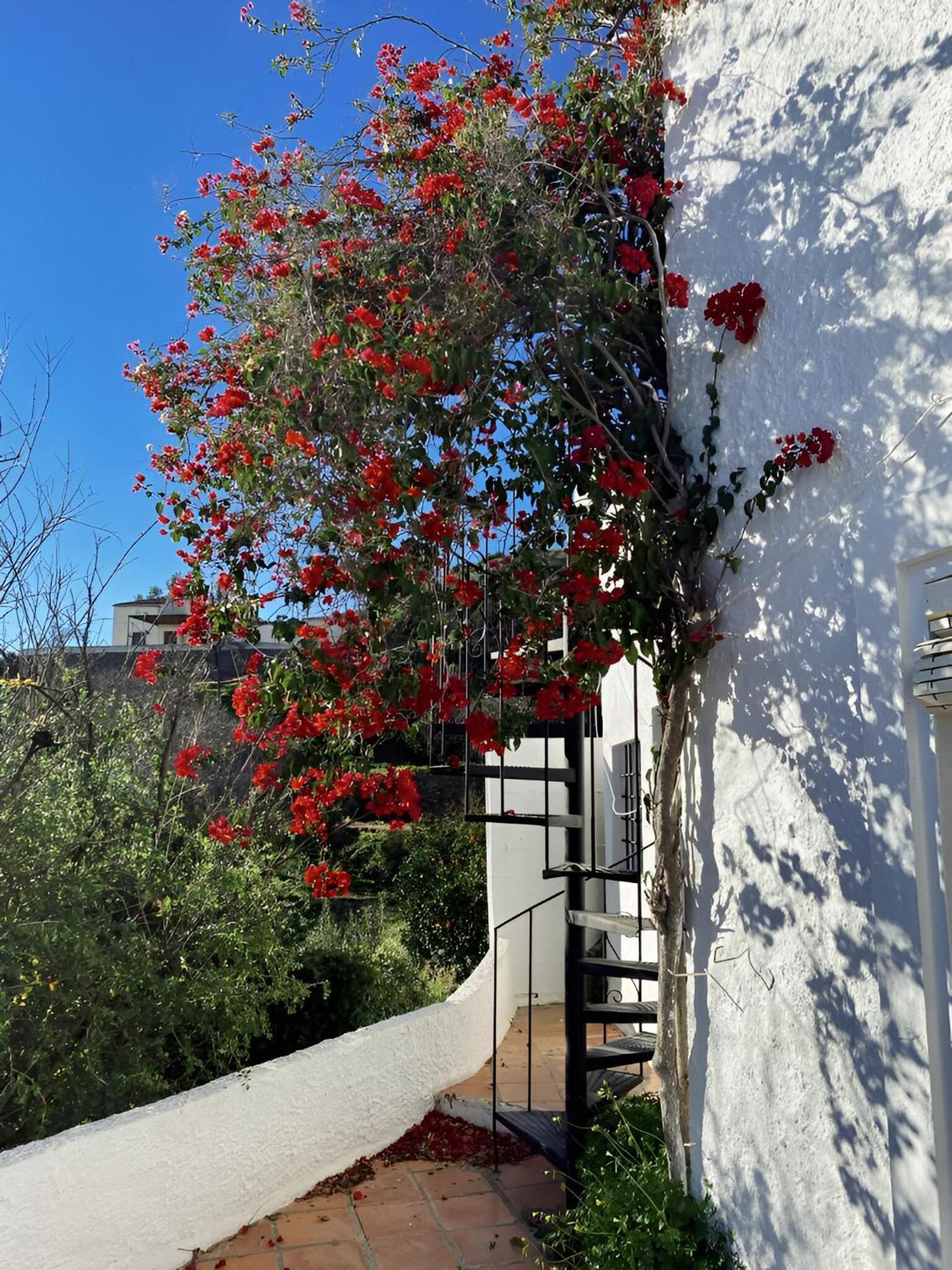 הוילה Bédar Cortijo De La Fuente Con Vistas Impresionantes Y Playas A 20 Minutos מראה חיצוני תמונה